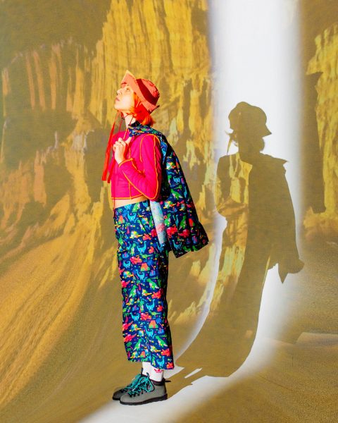 Dino Pants - Image 3